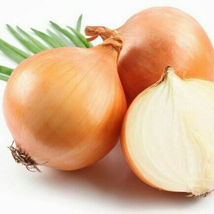 Bawang Merah Solok Dan Bawang Lainnya  3