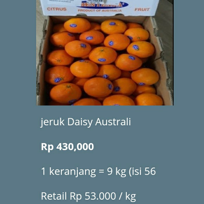 Jeruk Ausie