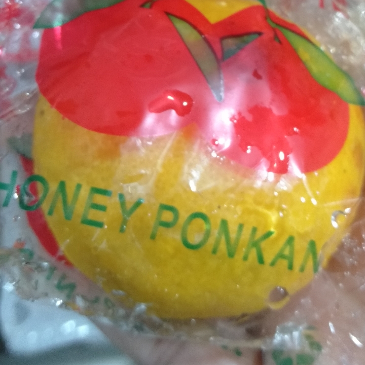 Jeruk Honey Ponkan 2