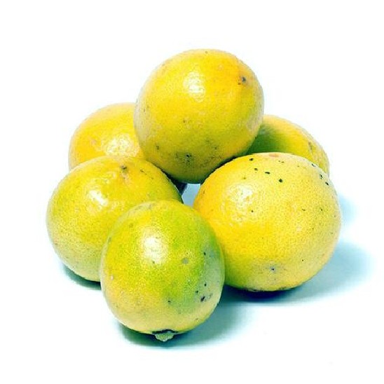 Jeruk Lemon
