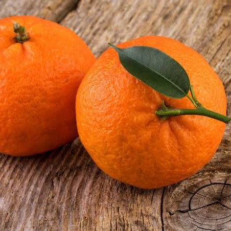 Jeruk Mandarin