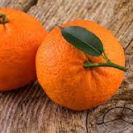 Jeruk Mandarin
