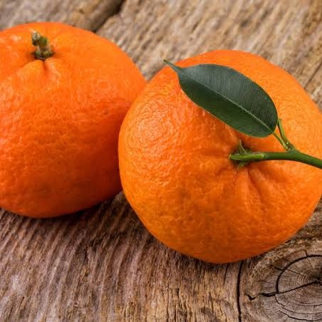 Jeruk Mandarin