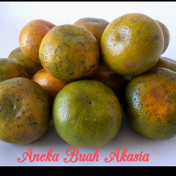 Jeruk Siem Jumbo