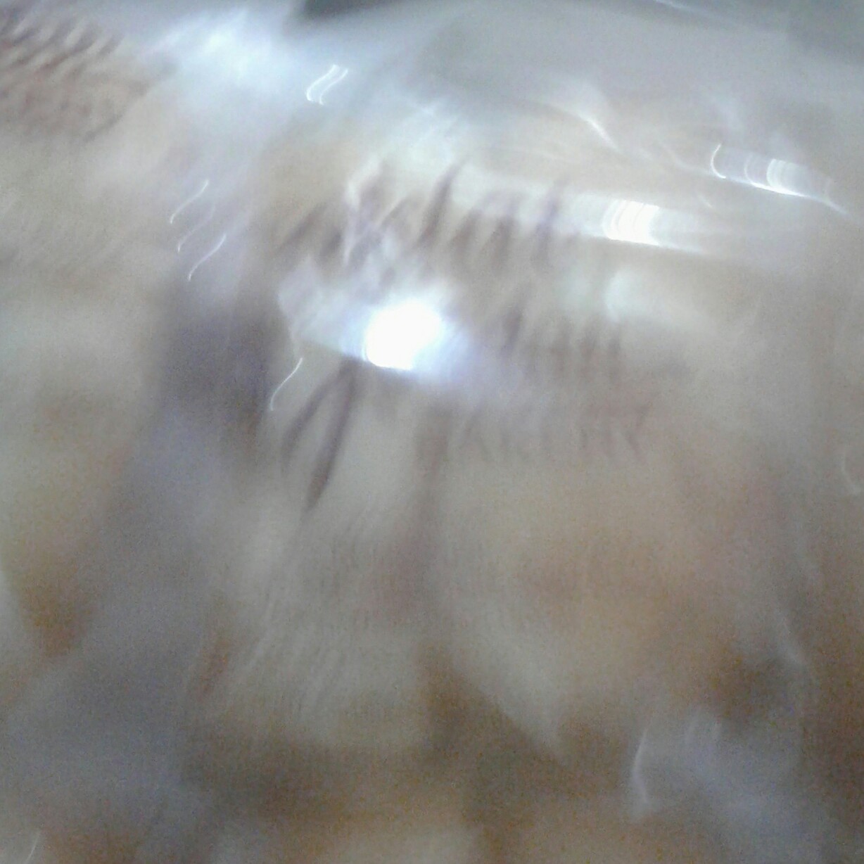Jordan Coklat