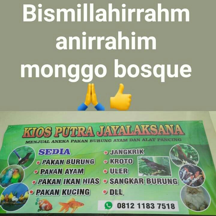 Jual Pakan Ternak Burung Ayam Kucing Ikan Kandang Aksesoris Dll