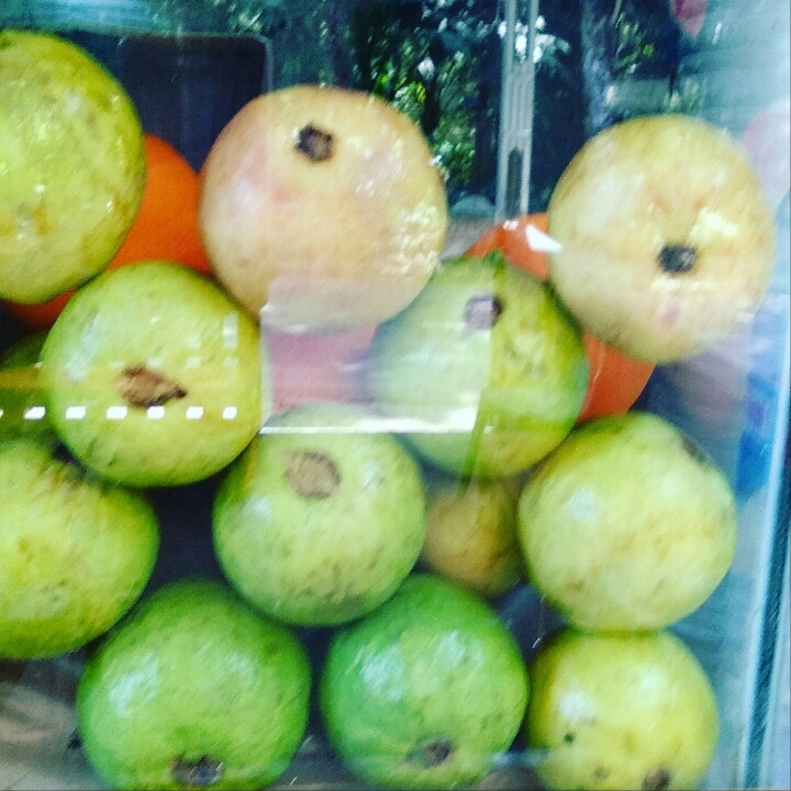 Jus Jambu Biji Merah 3