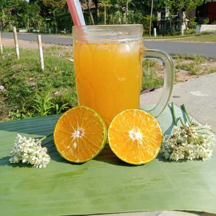 Jus Jeruk Segar