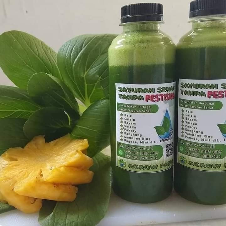 Jus Pakcoy Nenas