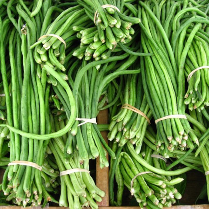 KACANG PANJANG 