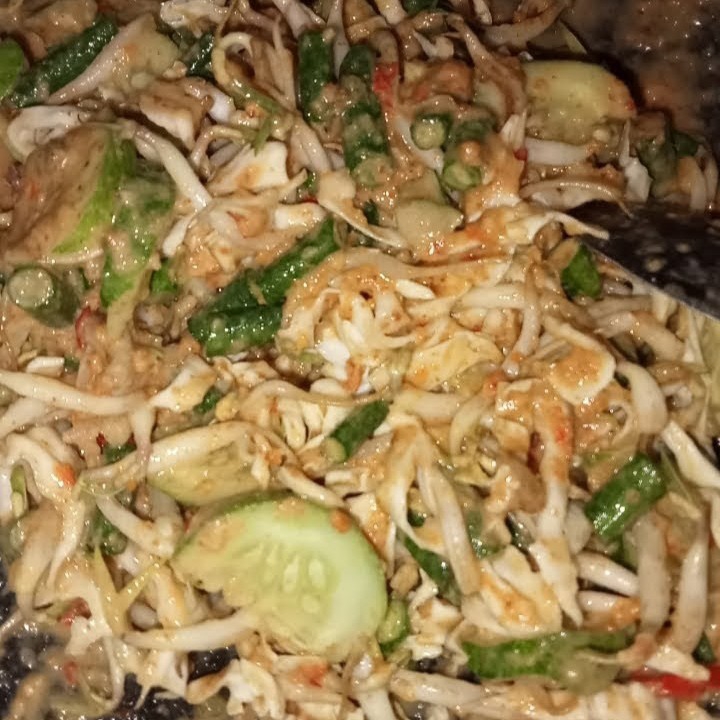 KAREDOK  DAN  GADO2