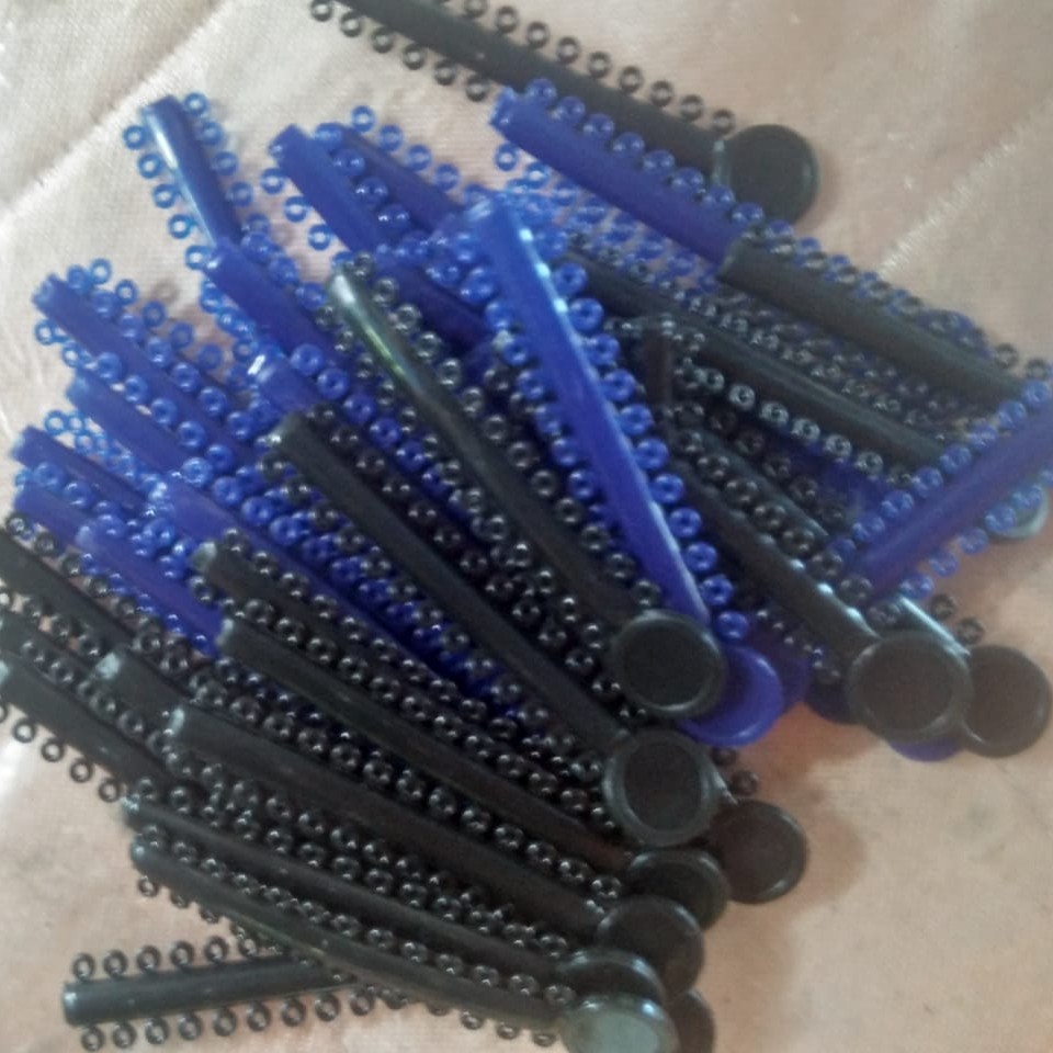 KARET BEHEL 3