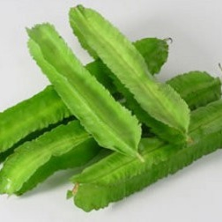 KECIPIR 