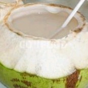 KELAPA BESAR