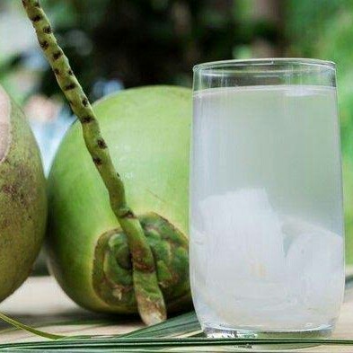 KELAPA MUDA