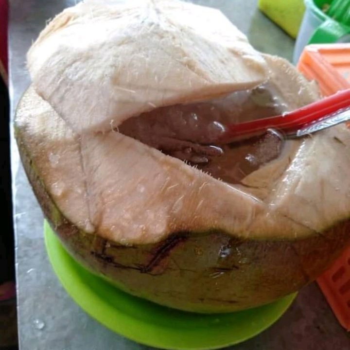 KELAPA MUDA MURNI
