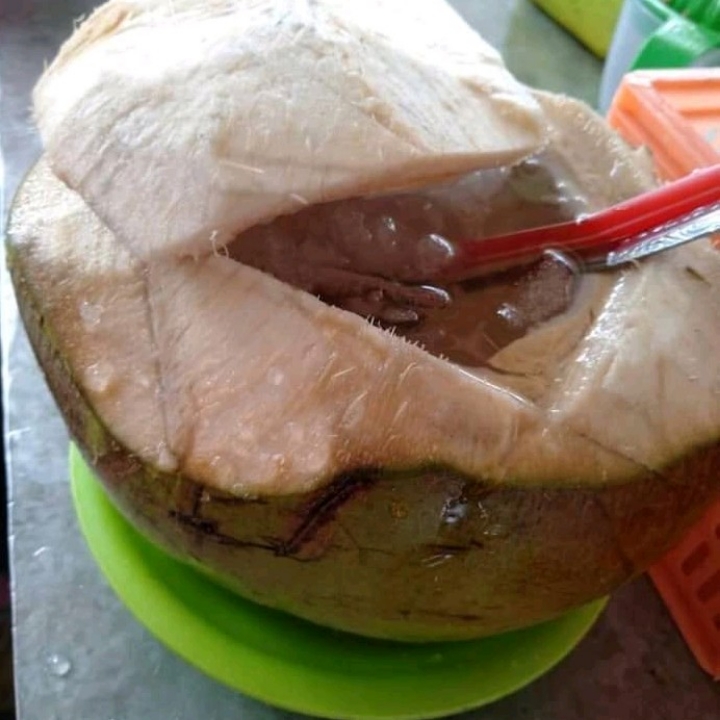 KELAPA MUDA MURNI SUSU