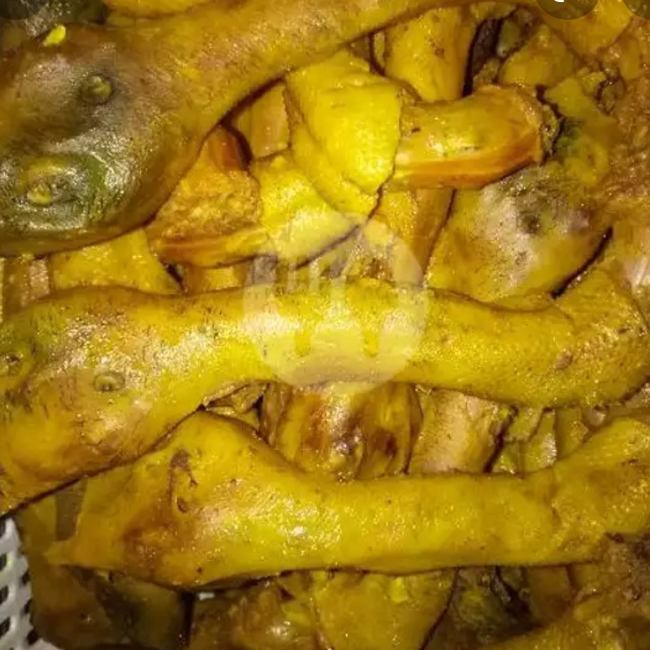 KEPALA BEBEK