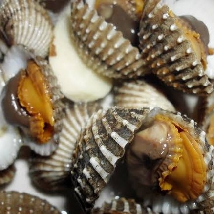 RM SIMPATI 2-KERANG DARA