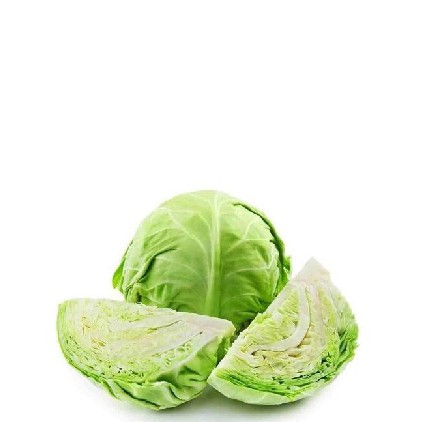 KOLL