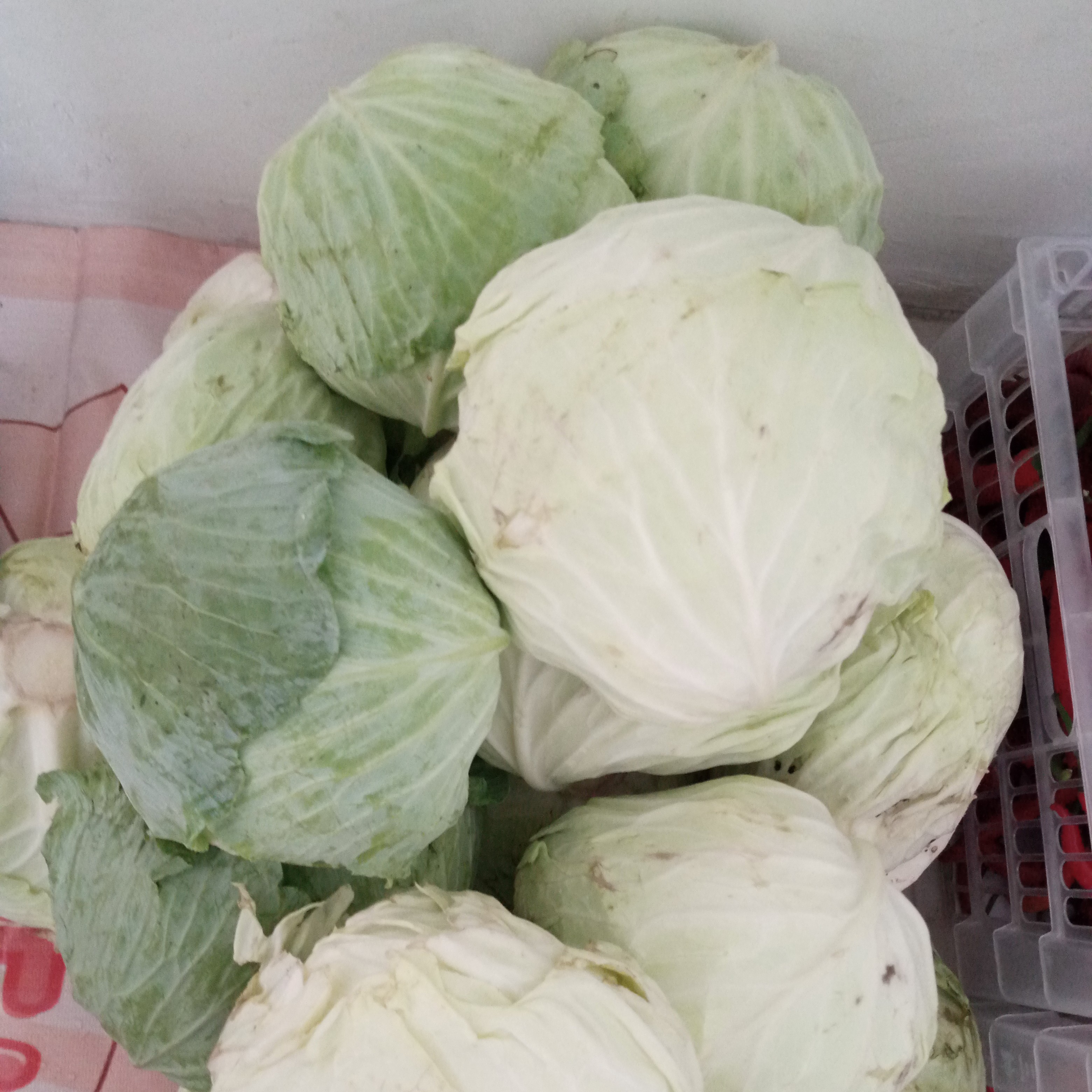 KUBIS  250 Gram
