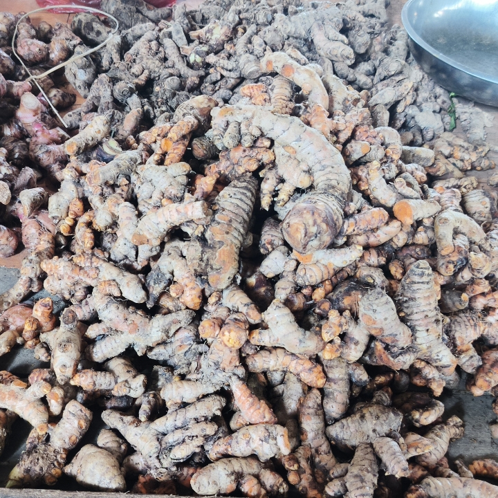 KUNYIT 