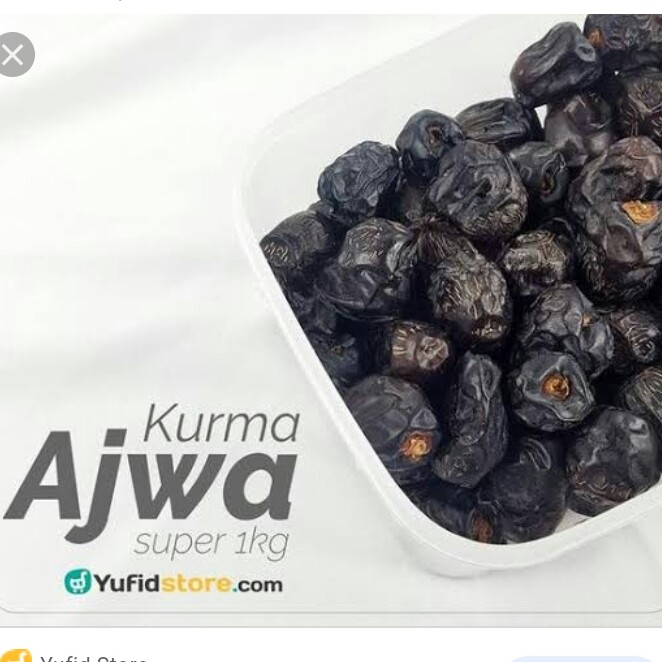 KURMA AZWA  KURMA NABI 2