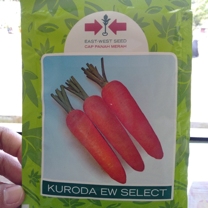 KURODA EW SELECT