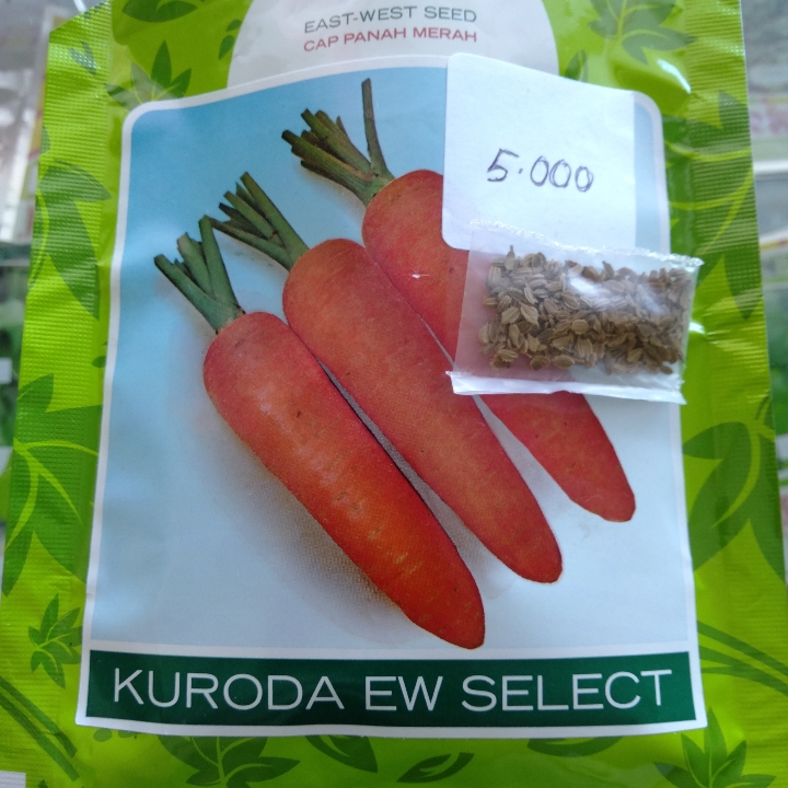 KURODA EW SELECT 2