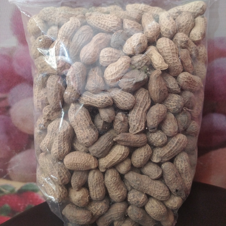 Kacang Dongkal
