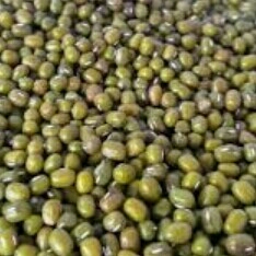 Kacang Hijau