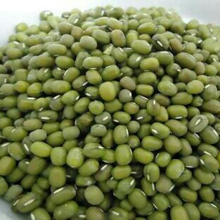 Kacang Hijau