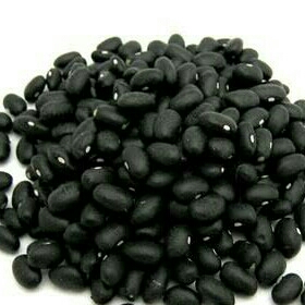 Kacang Hitam