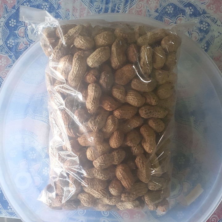 Kacang Open