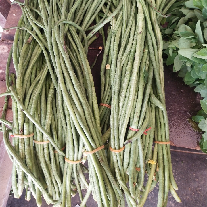 Kacang Panjang