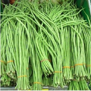 Kacang Panjang Ikat