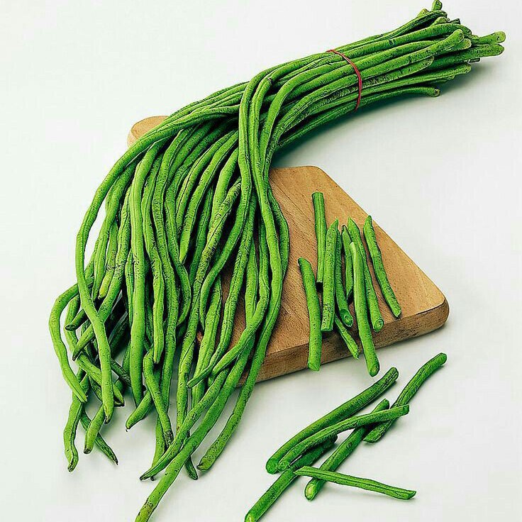 Kacang Panjang