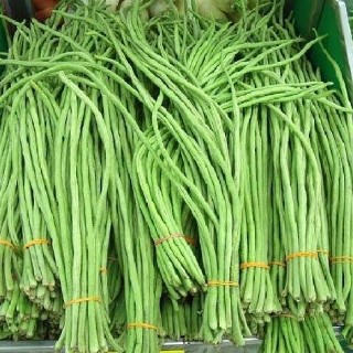 Kacang Panjang 3 Ikat