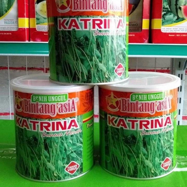 Kacang Panjang Katrina 500gr