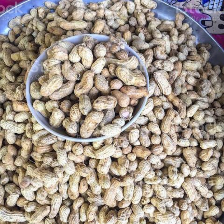 Kacang Rebus 