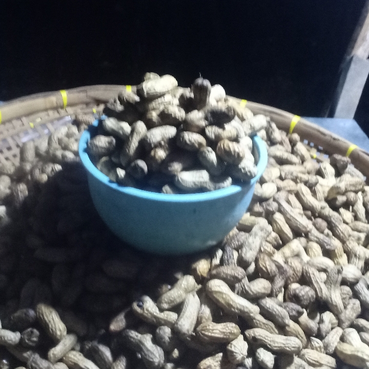 Kacang Rebus