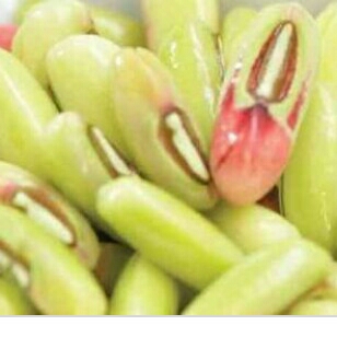 Kacang Sayur