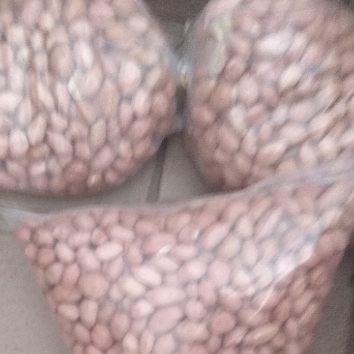 Kacang Tanah