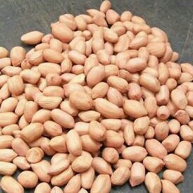 Kacang Tanah