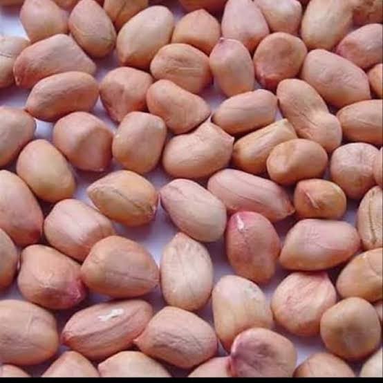 Kacang Tanah