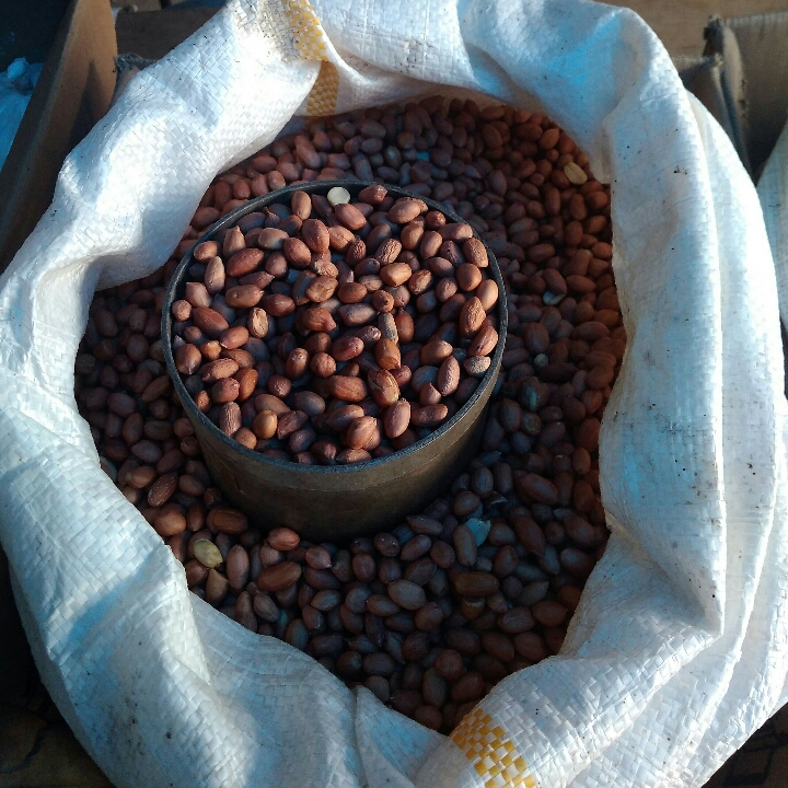Kacang Tanah 1 Kg 