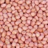 Kacang Tanah 1kg
