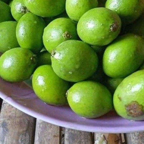 Kadondong