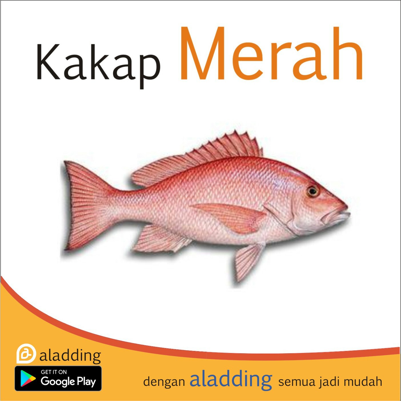 Kakap Merah 500gr