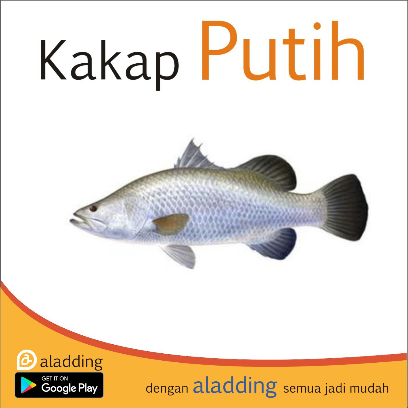 Kakap Putih 500gr